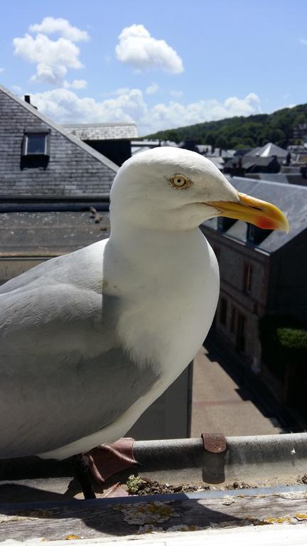 Les Galets Bleus Bed & Breakfast Etretat Luaran gambar